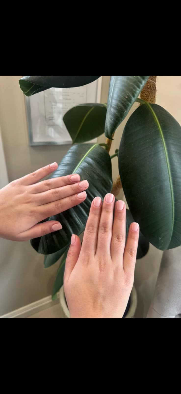 Soft pink gel manicure photographed at Isla